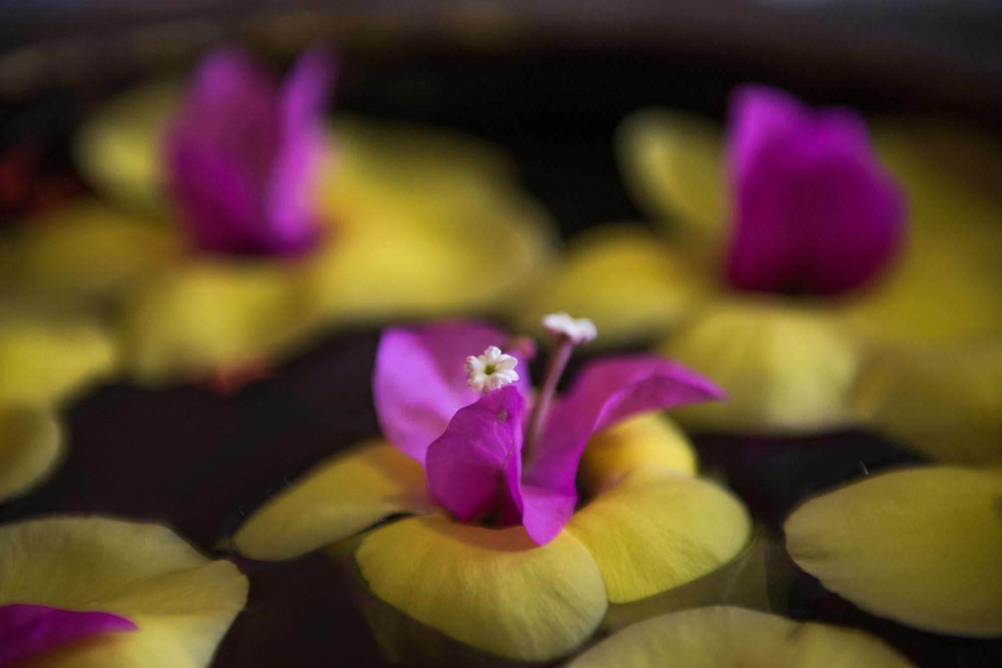 Galaxy Angkor Boutique Hotel Siem Reap Luaran gambar